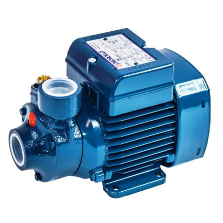 Pedrollo PKm60, 230V