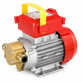 ROVER POMPE Zubové čerpadlo ROVER BE-G 20, 230V, HP 0.8